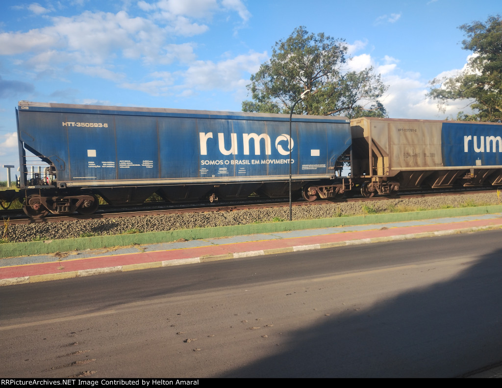 RUMO HTT-350593-6